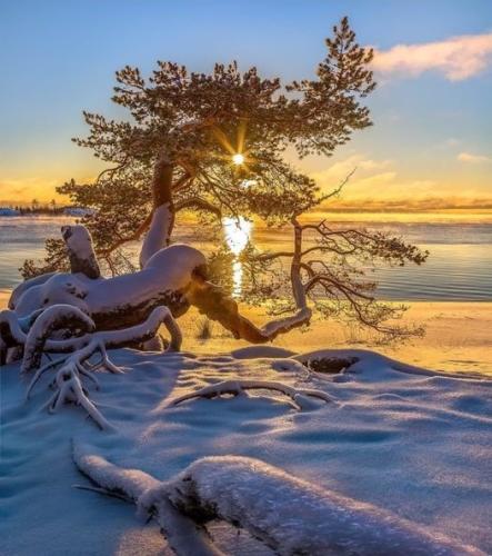 265847702_471542601016085_7249247135783705159_n