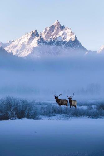 tumblr_pn6q63J44O1vvczb6o1_540