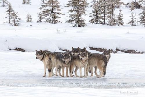 tumblr_5fc6ebb7bedada73f08961906f6f7c94_4b885e7a_1280