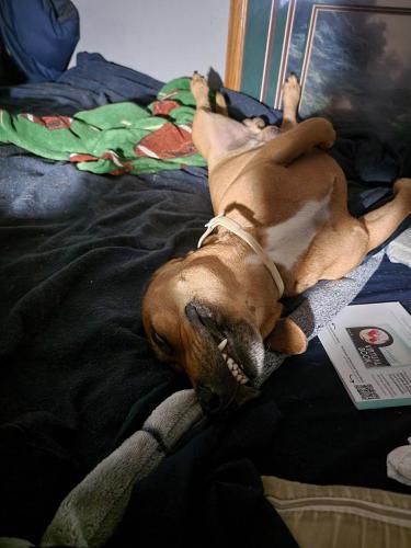 20:06:41 GMT-0600 (CST)