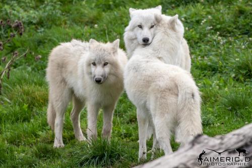 264391006_4526817507367730_8108389188141582005_n