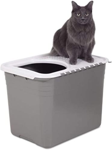 Litter Box