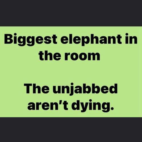 FB_IMG_1638363052461