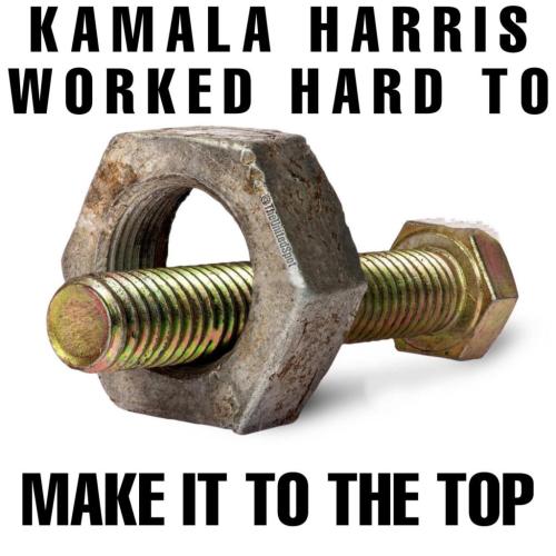 264321303_999079417631272_2484192105763703661_n