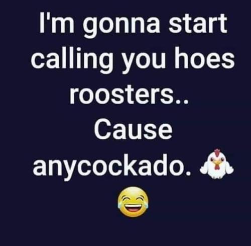 FB_IMG_1640271324274