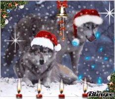 20:00:19 GMT-0600 (CST)