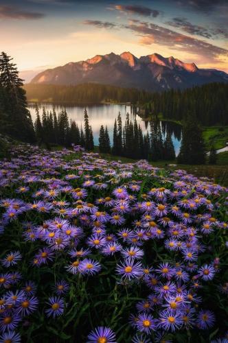 tumblr_pcx6rx0WBl1uzouo7o1_640