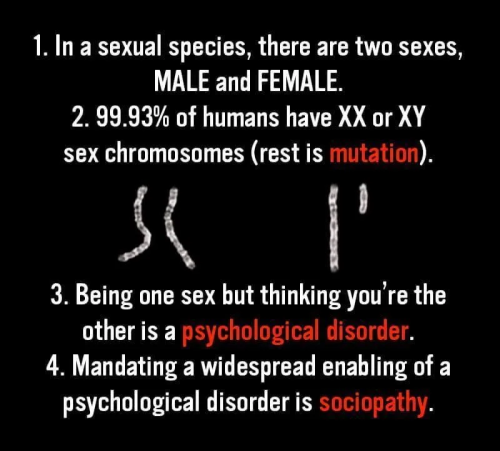 241E15AC-1408-48DC-B918-2275983E8C46