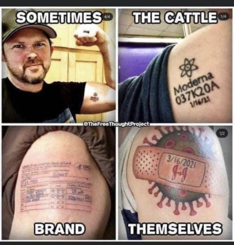 18:05:46 GMT-0600 (CST).image