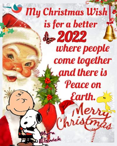 264079335_439687931054785_1473846885448155058_n