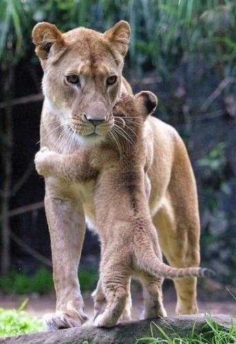 269895920_1730236103842399_8918501187501887811_n