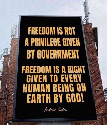 270366884_101632162401391_2169129126074800155_n