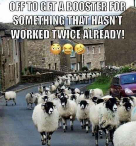 sheeple booster