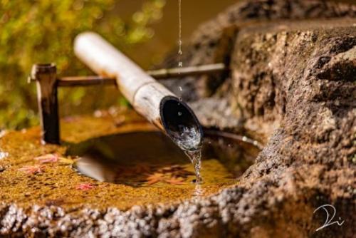 tumblr_4d8c1c1bd66e3ea36b08b5d493f1c455_b8efffc2_540