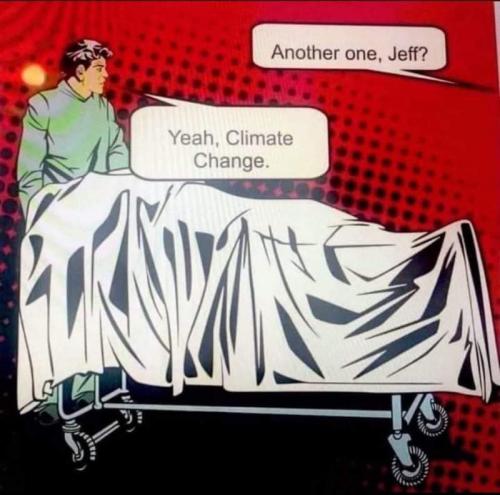 FB_IMG_1640189848566