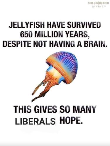 FB_IMG_1640700422749