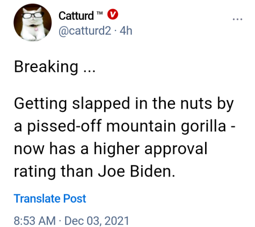 Screenshot_20211203-131242~2