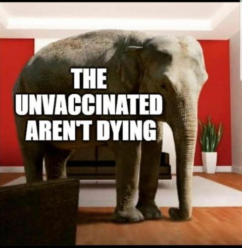 Unvaxxed not dying