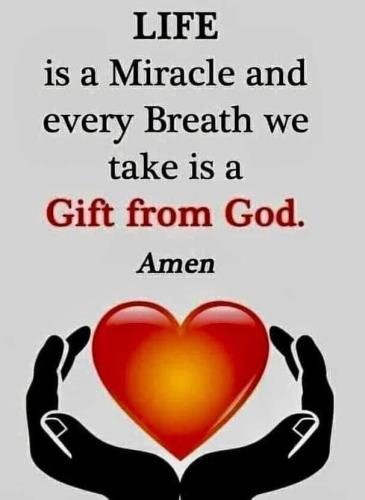 FB_IMG_1640902604774