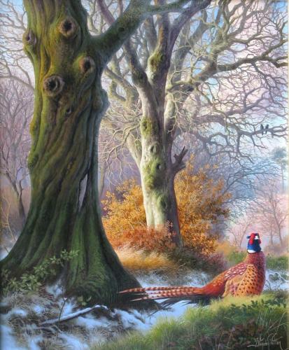 11:04:14 GMT-0600 (CST)