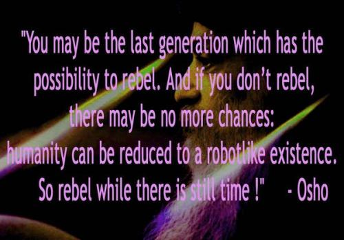 Be a rebel while you still can