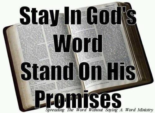 311310_385599808188823_348279401_n