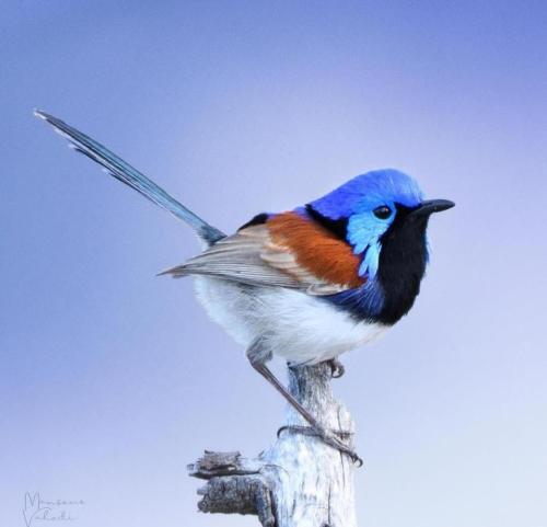 270396241_4698222913580667_1988070530195599233_n