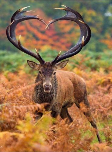 625363c895e63153668583274275fee3