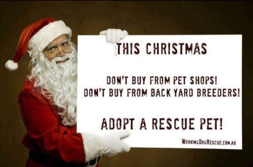 FB_IMG_1639854163420