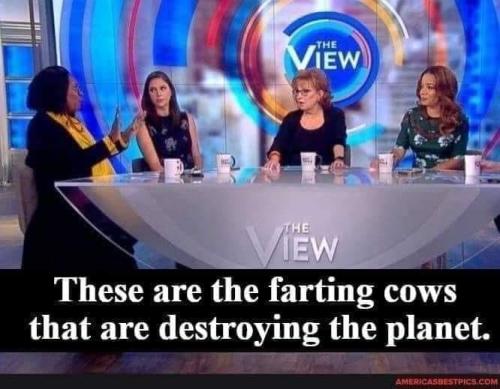 farting cows
