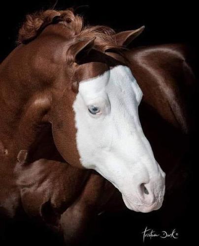 265859734_473621444141534_4785798605103113884_n