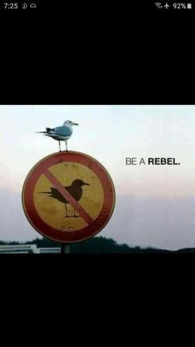 Screenshot_20211209-072520_Facebook