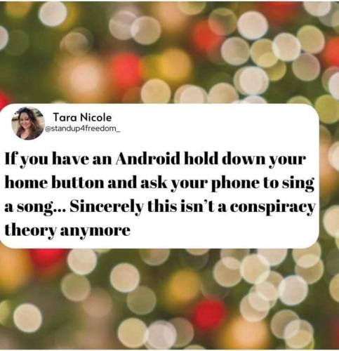 FB_IMG_1639085866155