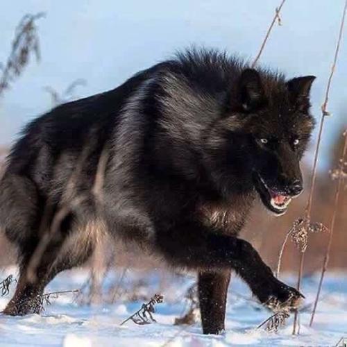 ebe05fc6ba60d656c7c996b5bb319291