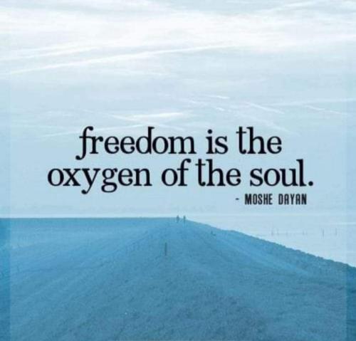 18:59:04 GMT-0600 (CST)