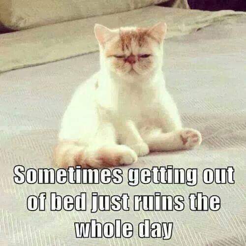 FB_IMG_1638806191680