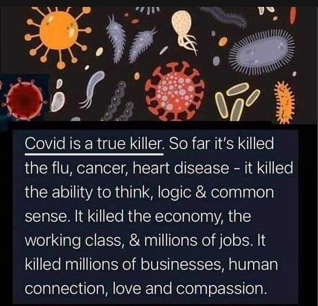 Covid the killer