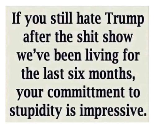 image_1639535119.808