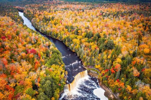 Hero-FallFoliage-shutterstock_1865198827