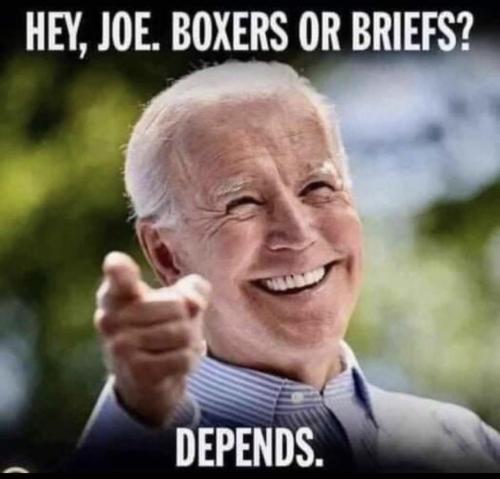biden:briefs c