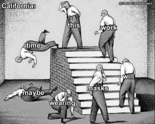 FB_IMG_1639612414784