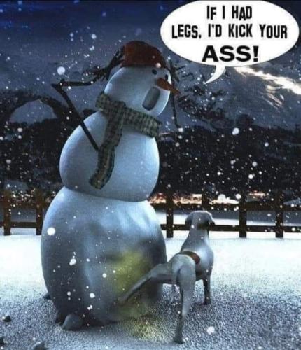 FB_IMG_1640537980052