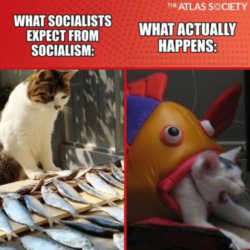 260062268_10159680849400351_8747940247224193071_n