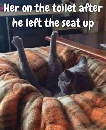 FB_IMG_1638970414635