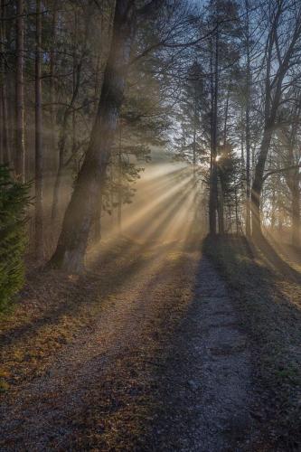 269892199_1728877960644880_1364475755440505003_n