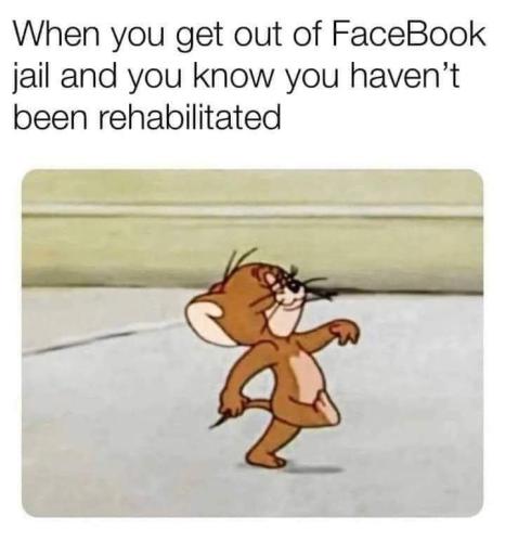 FB_IMG_1639358038341