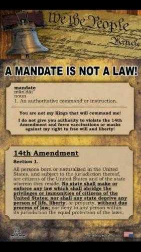 Screenshot_20211211-121028_Wimkin Uncensored