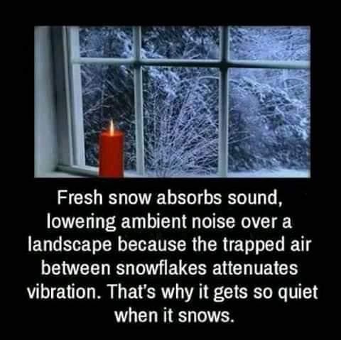 263472314_240996068133627_122079601474725844_n