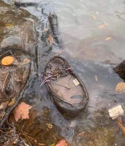 FB_IMG_1639419801177