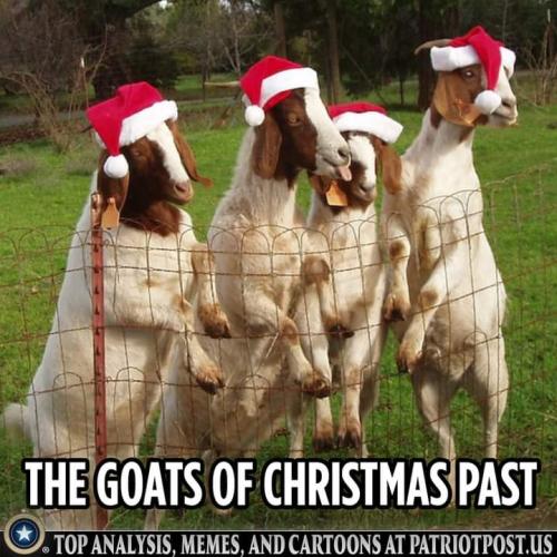 FB_IMG_1639451415040